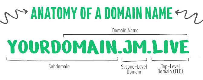 Choosing the Perfect Domain with .JM.LIVE: Your Key to SEO Success